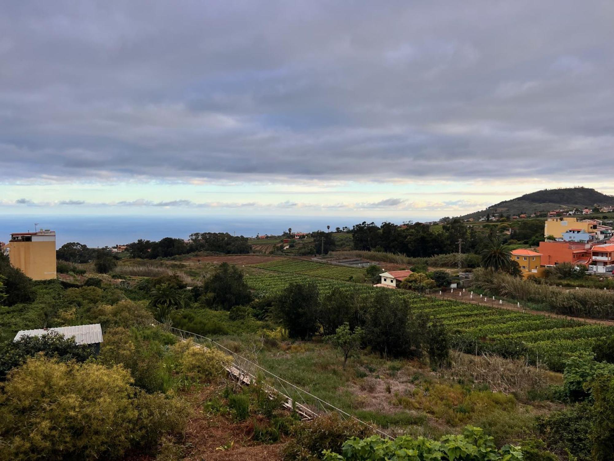 Casa Maricarmen Villa Tacoronte Bagian luar foto
